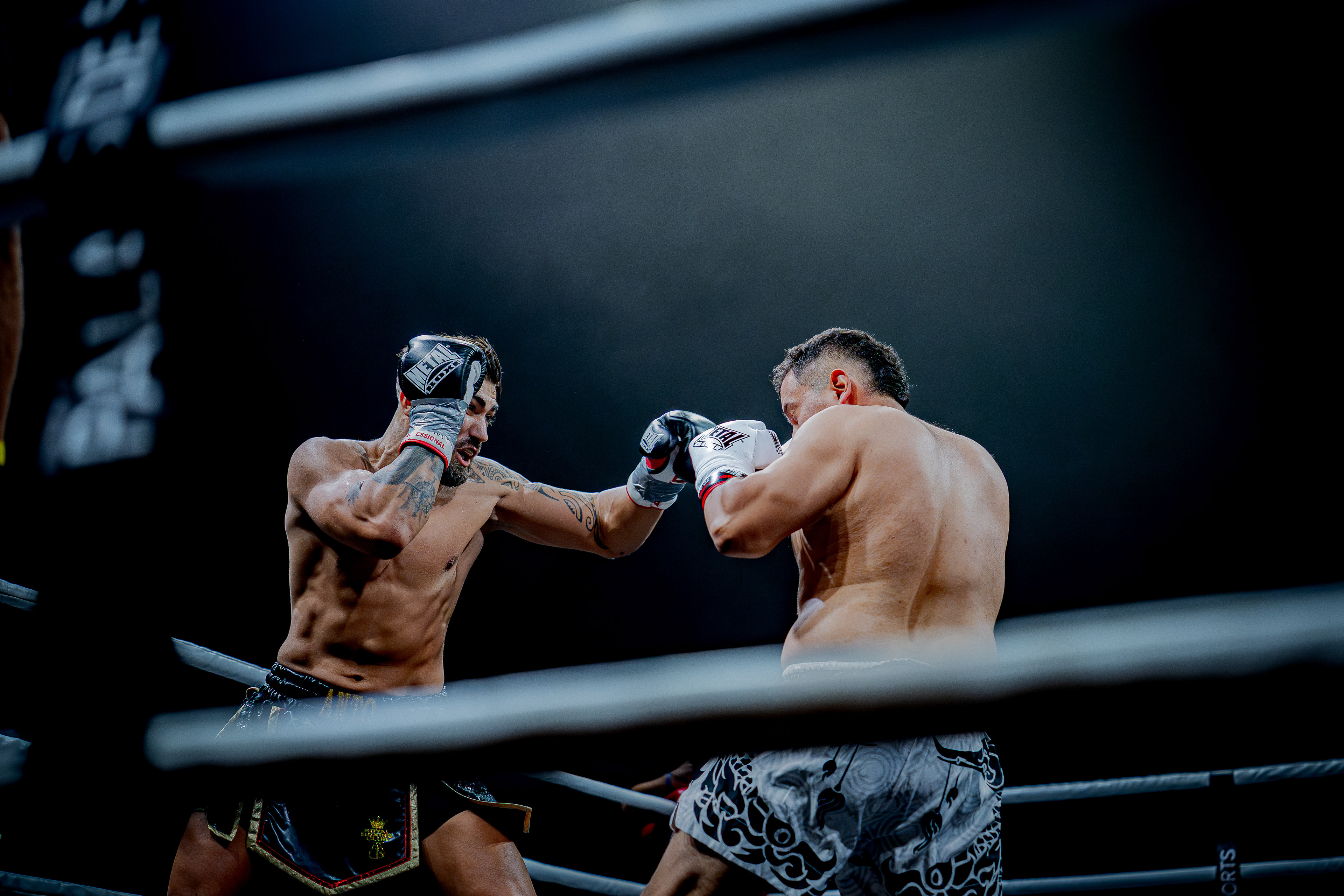 Fight Night - Boxe Marseille