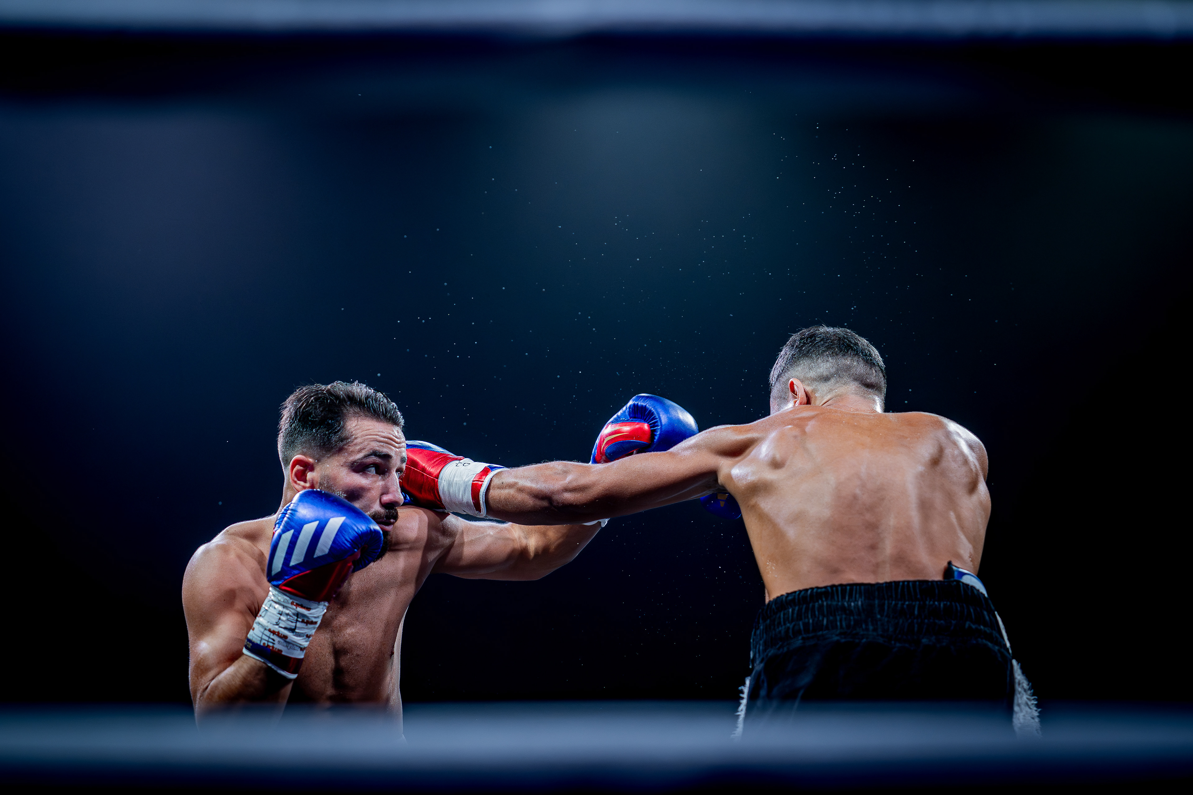 Fight Night - Boxe Marseille