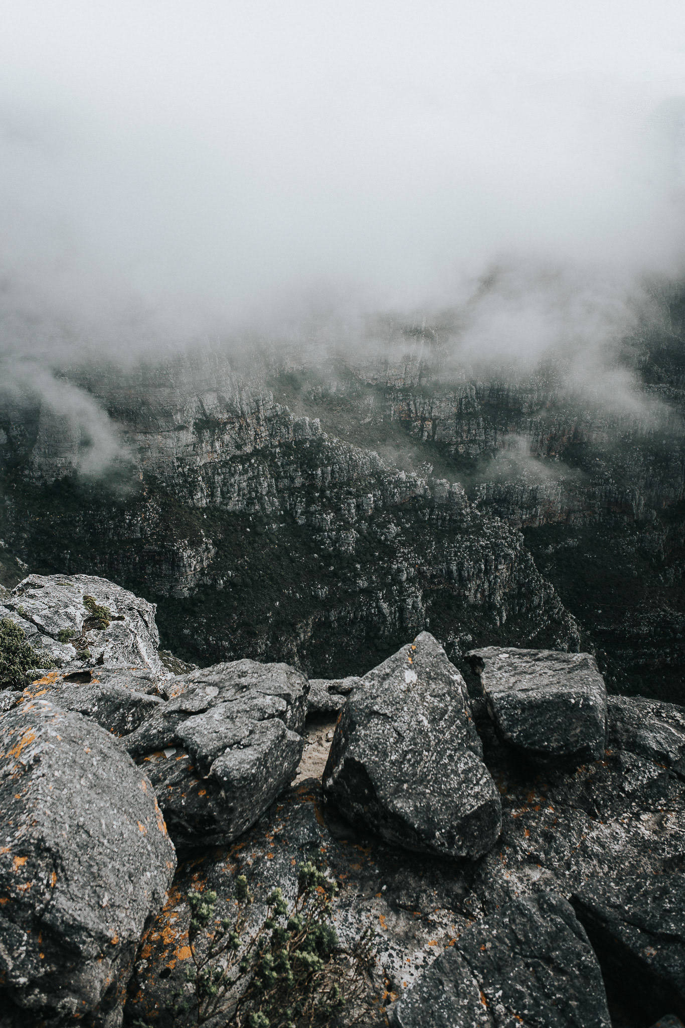 Nebel umhüllt die Berggipfel in Südafrika – eine geheimnisvolle und atmosphärische Szenerie in der Wildnis.