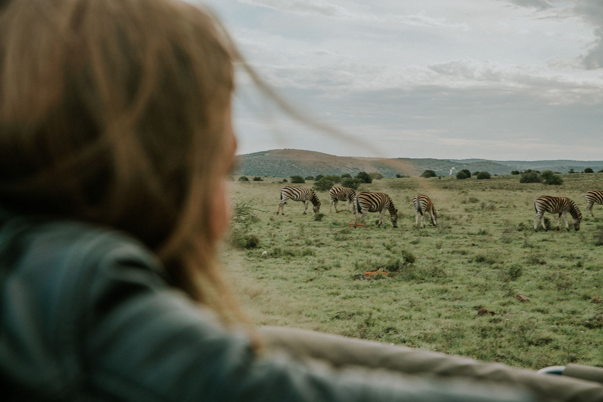 Safari-Besucher Lola Weippert beobachtet Zebras – hautnahes Naturerlebnis in der südafrikanischen Savanne.
