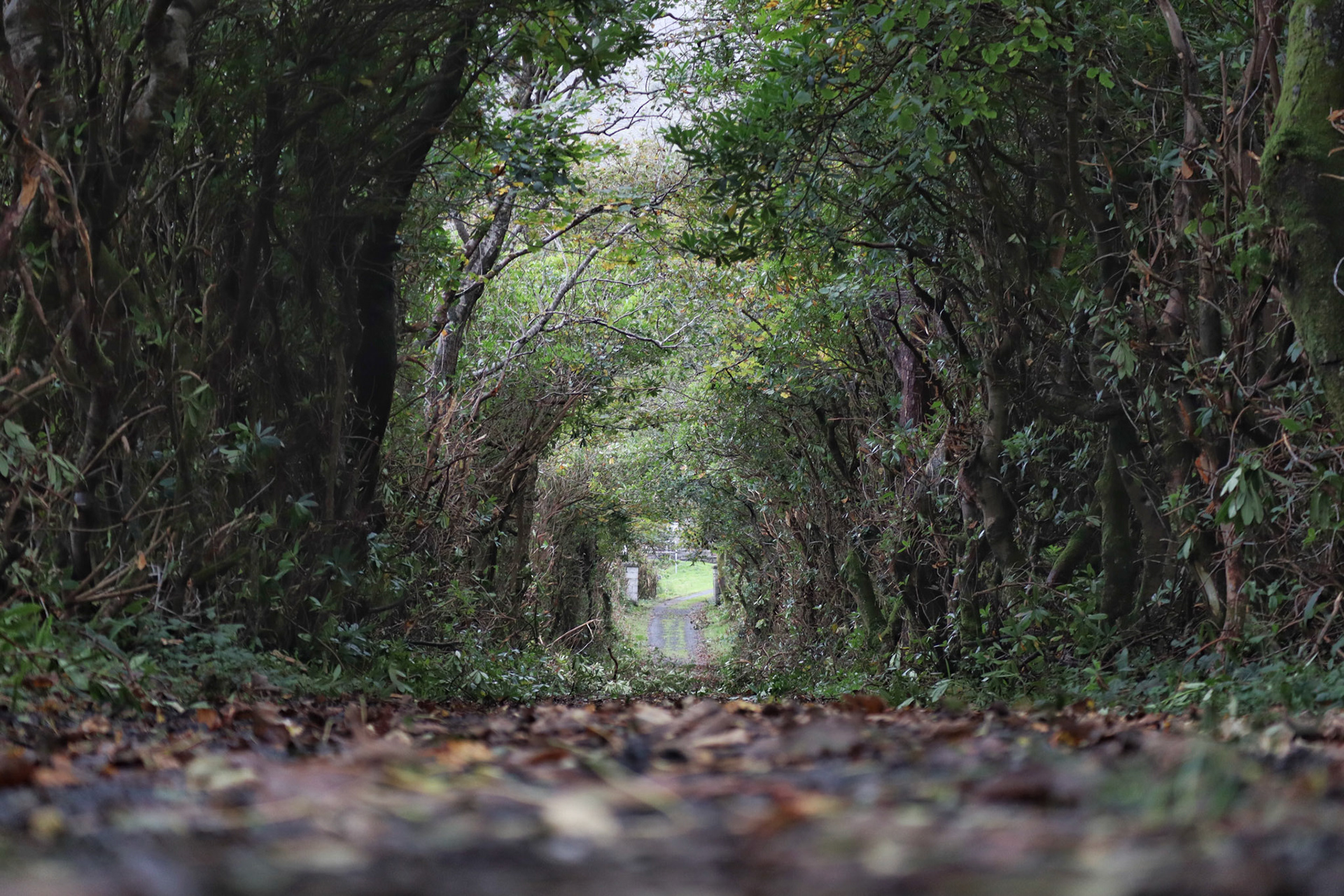 Entrance to St Thomas, Dugort