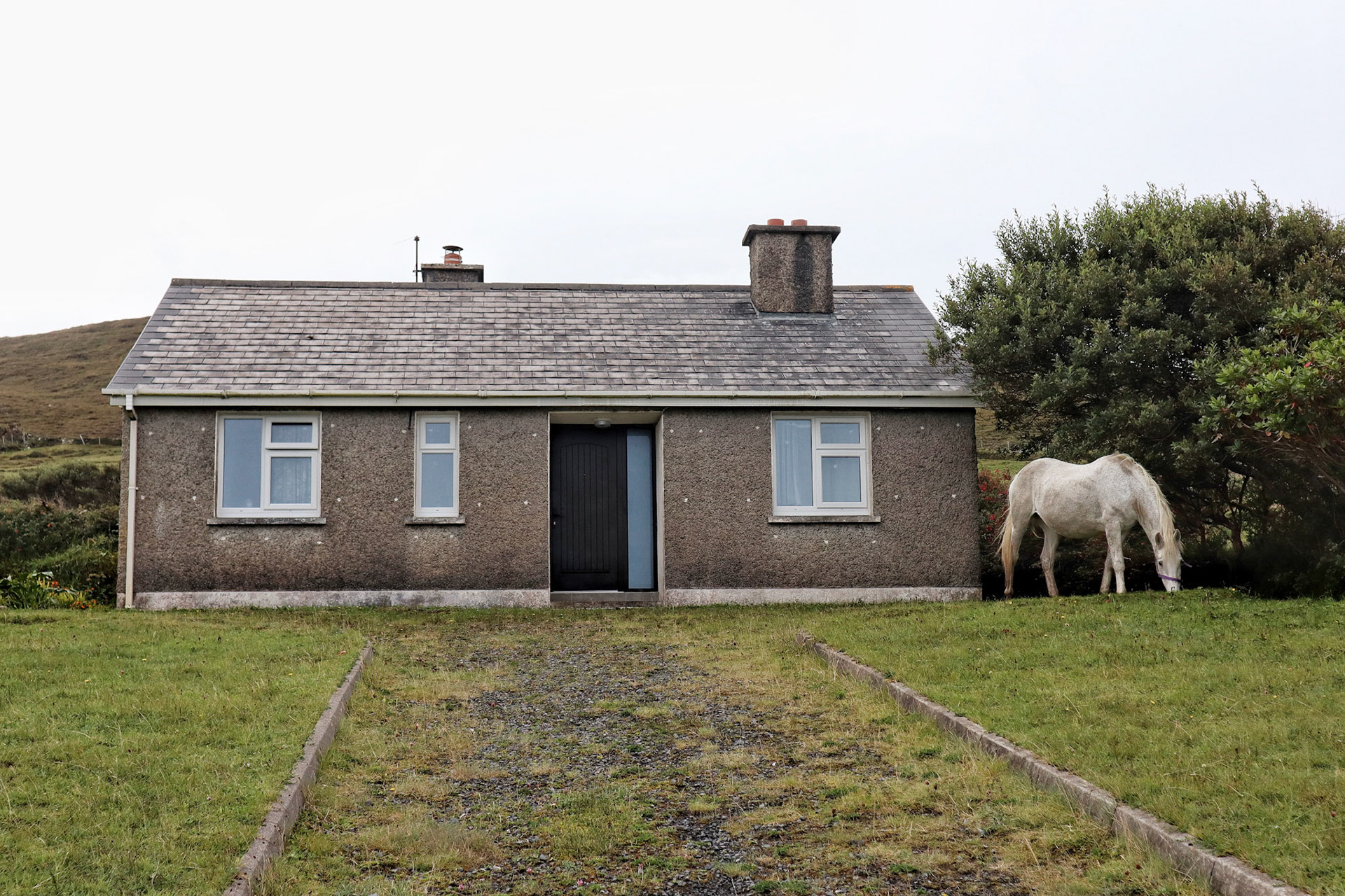 House and horse at Doogort