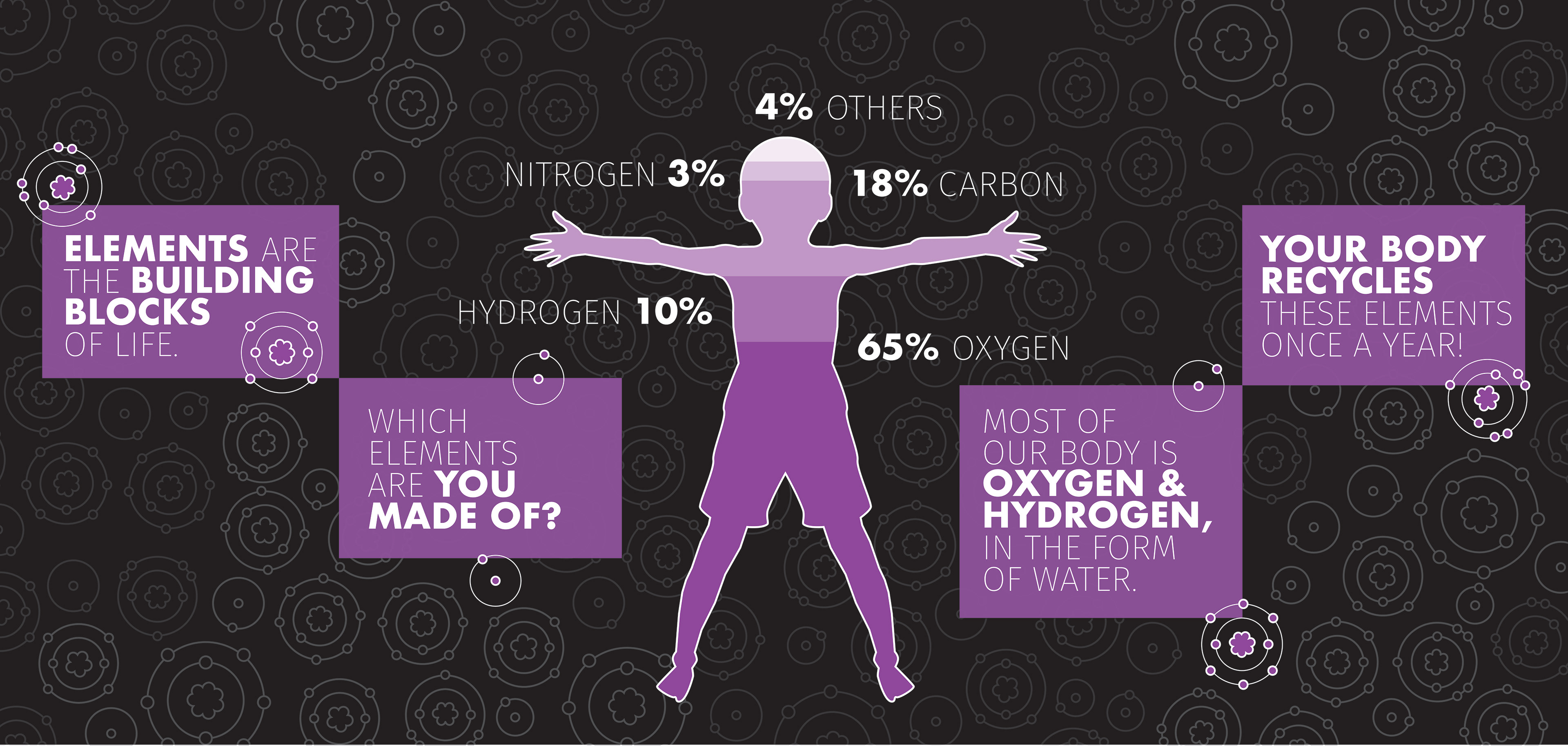 Elements of the Human Body