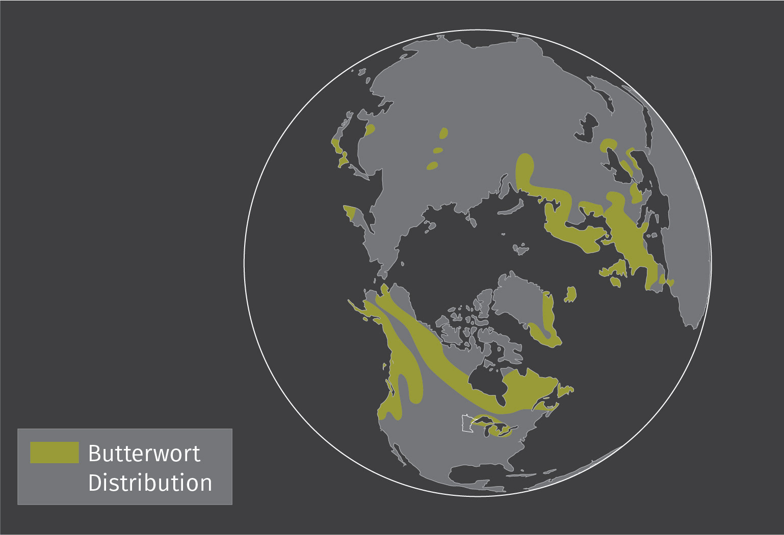 Habitat Locations of the Butterwort Plant