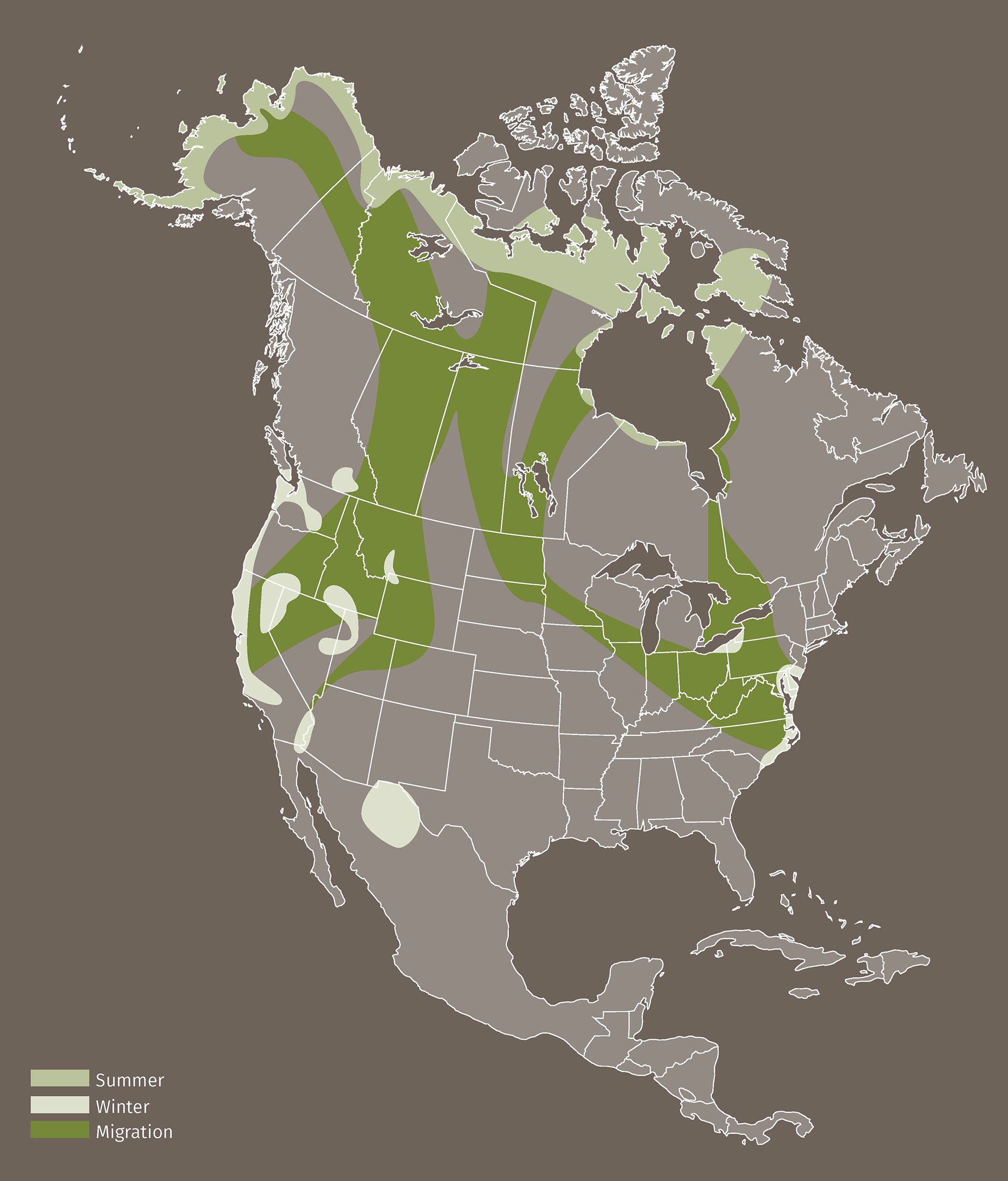 Migration Patterns