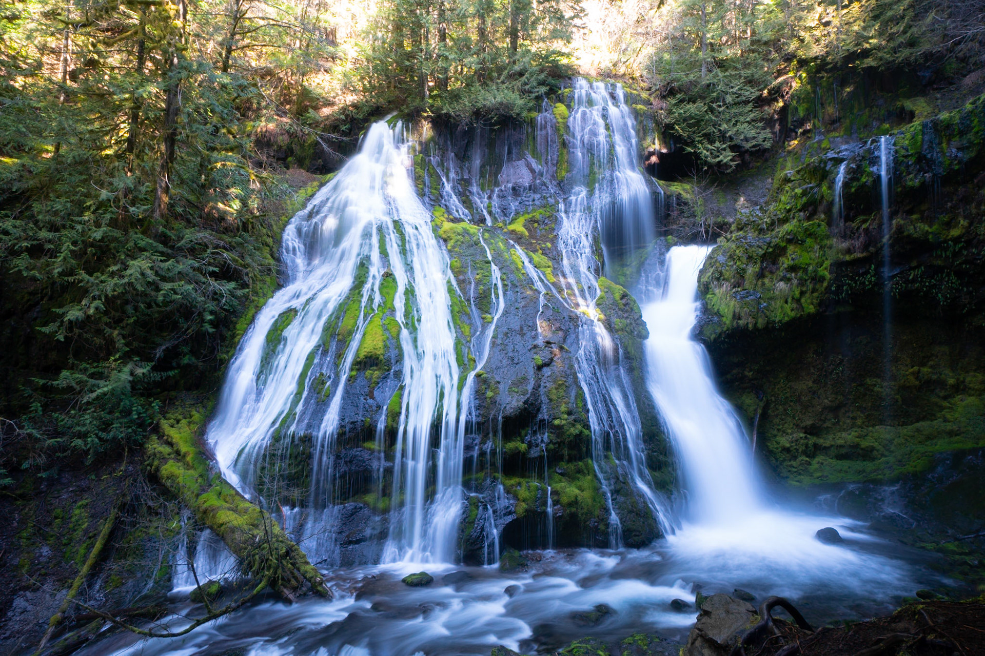Panther Creek Falls in Gifford Pinchot National Forest