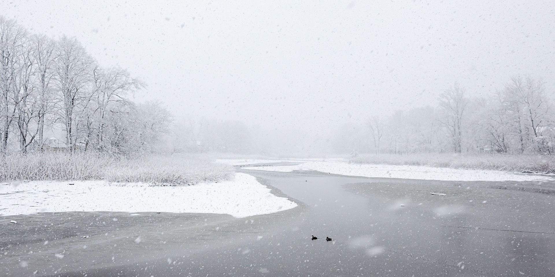 Little Silver Snow #3 (DSC_5443)