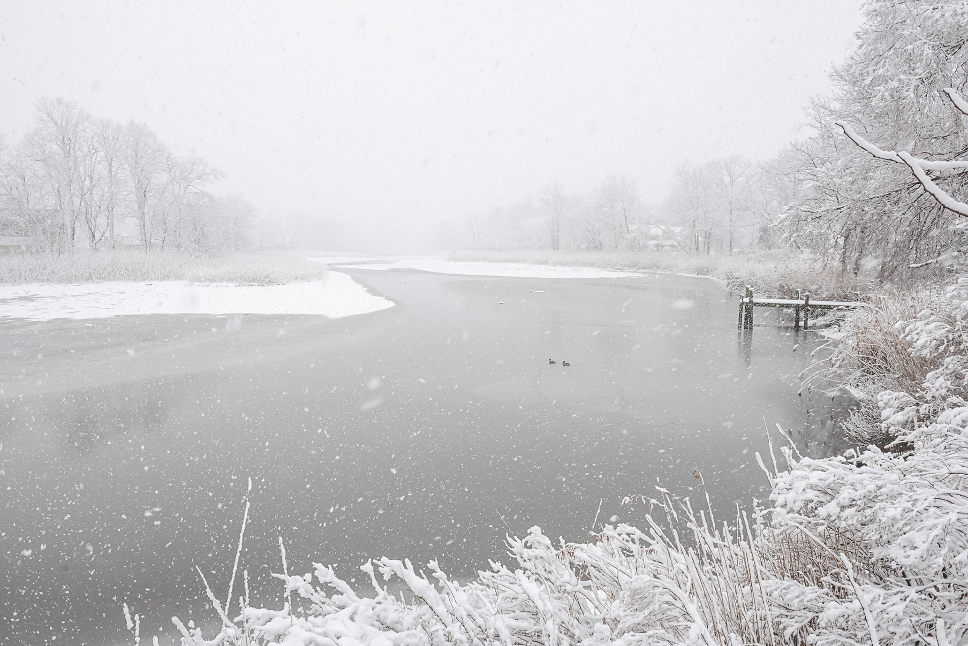Little Silver Snow #2 (DSC_5441)