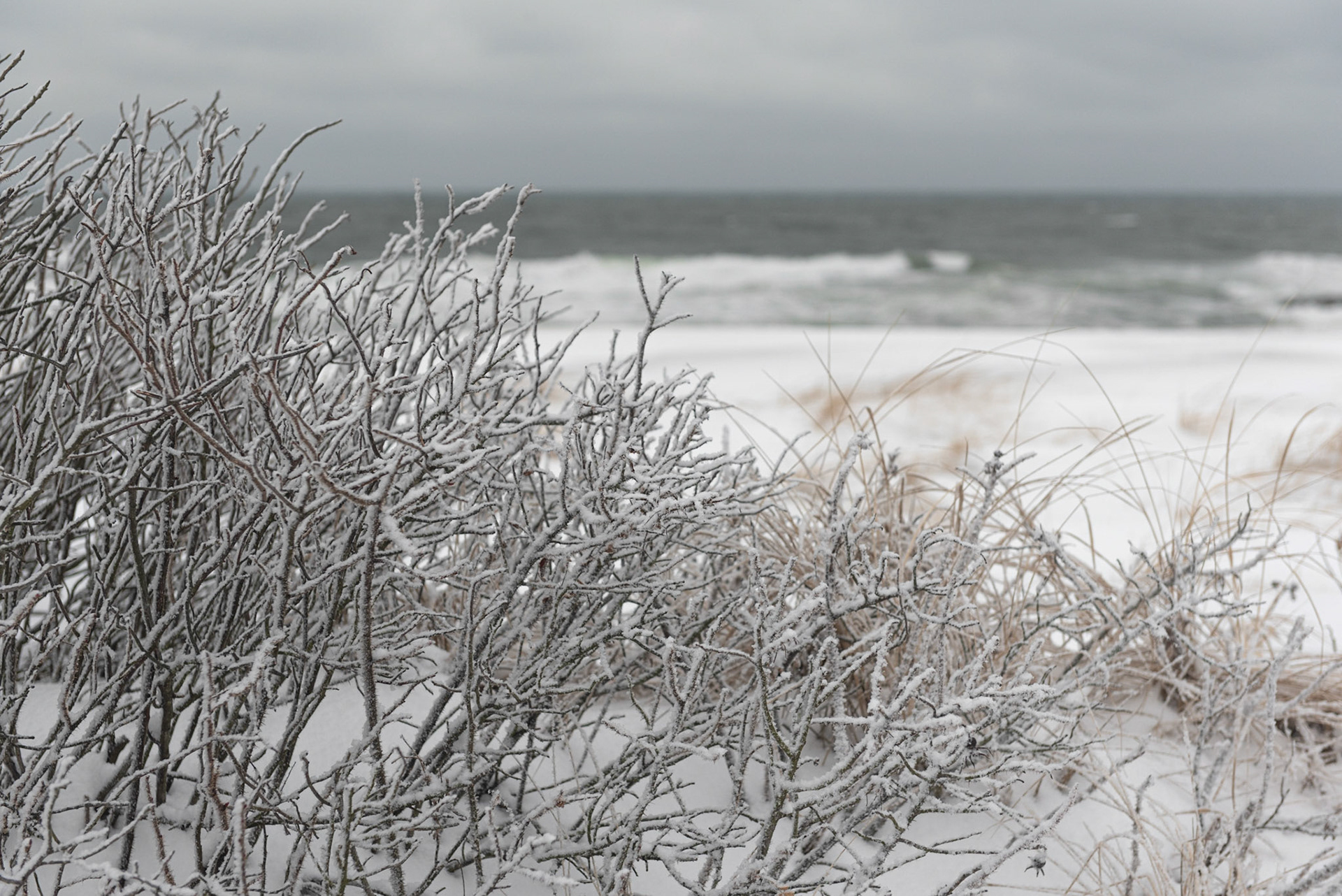 Frozen Ocean Grove Dune (DSC_5509)