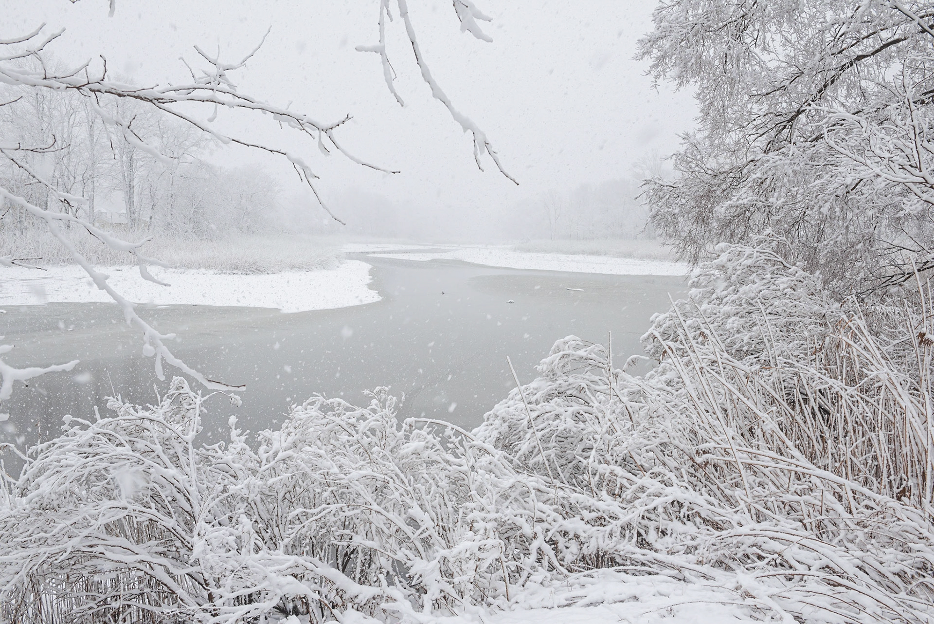 Little Silver Snow #1 (DSC_5435)