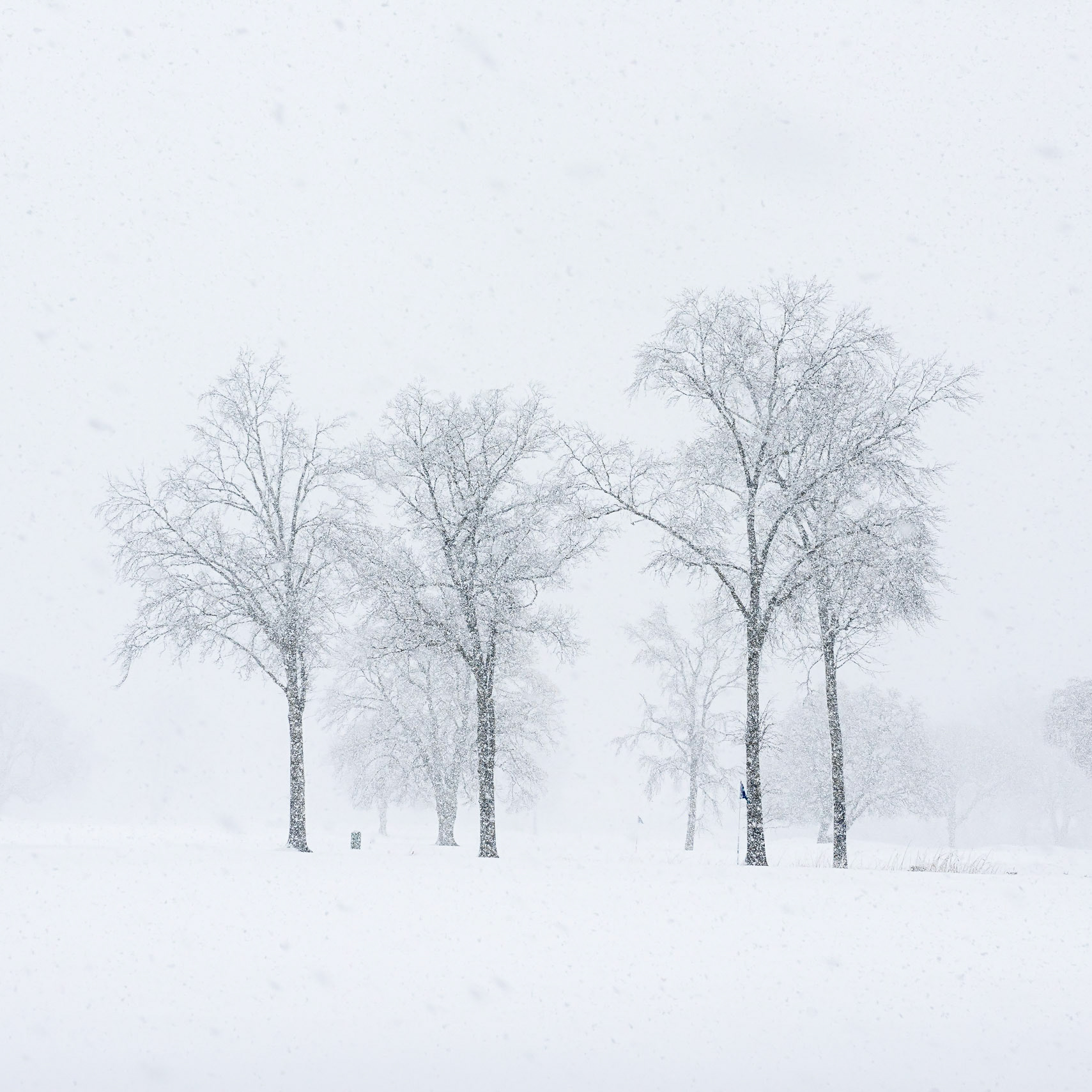 Rumson Country Club Snow #2 (DSC_5450)