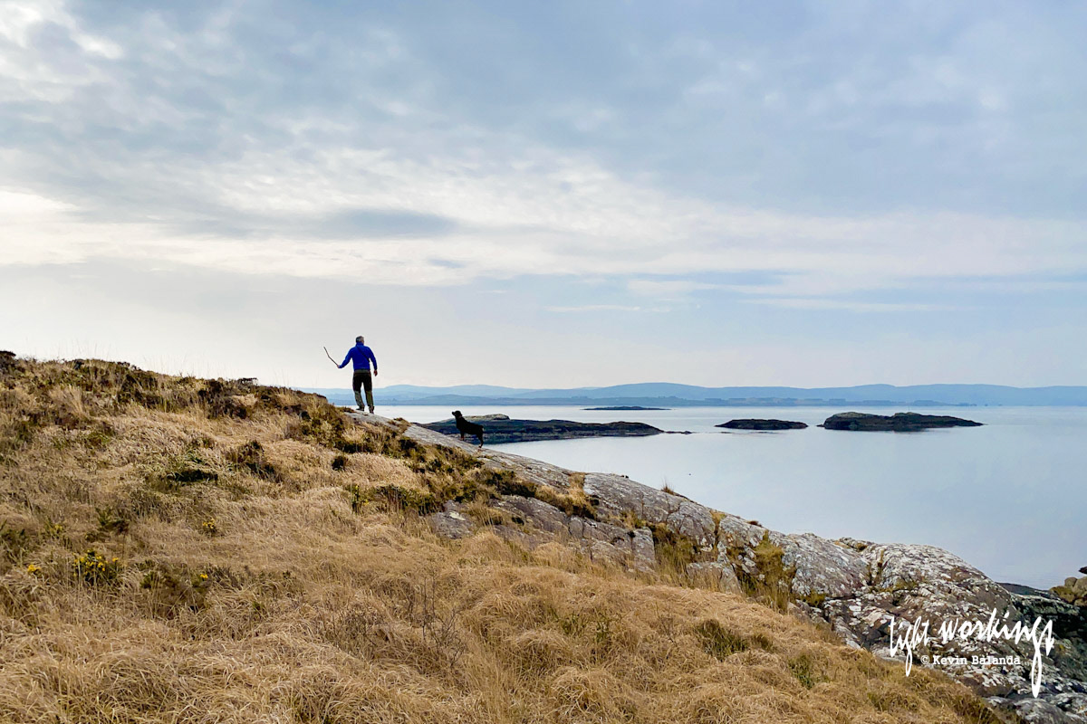 A man, a stick and a dog on the edge of Bantry Bay, West Cork