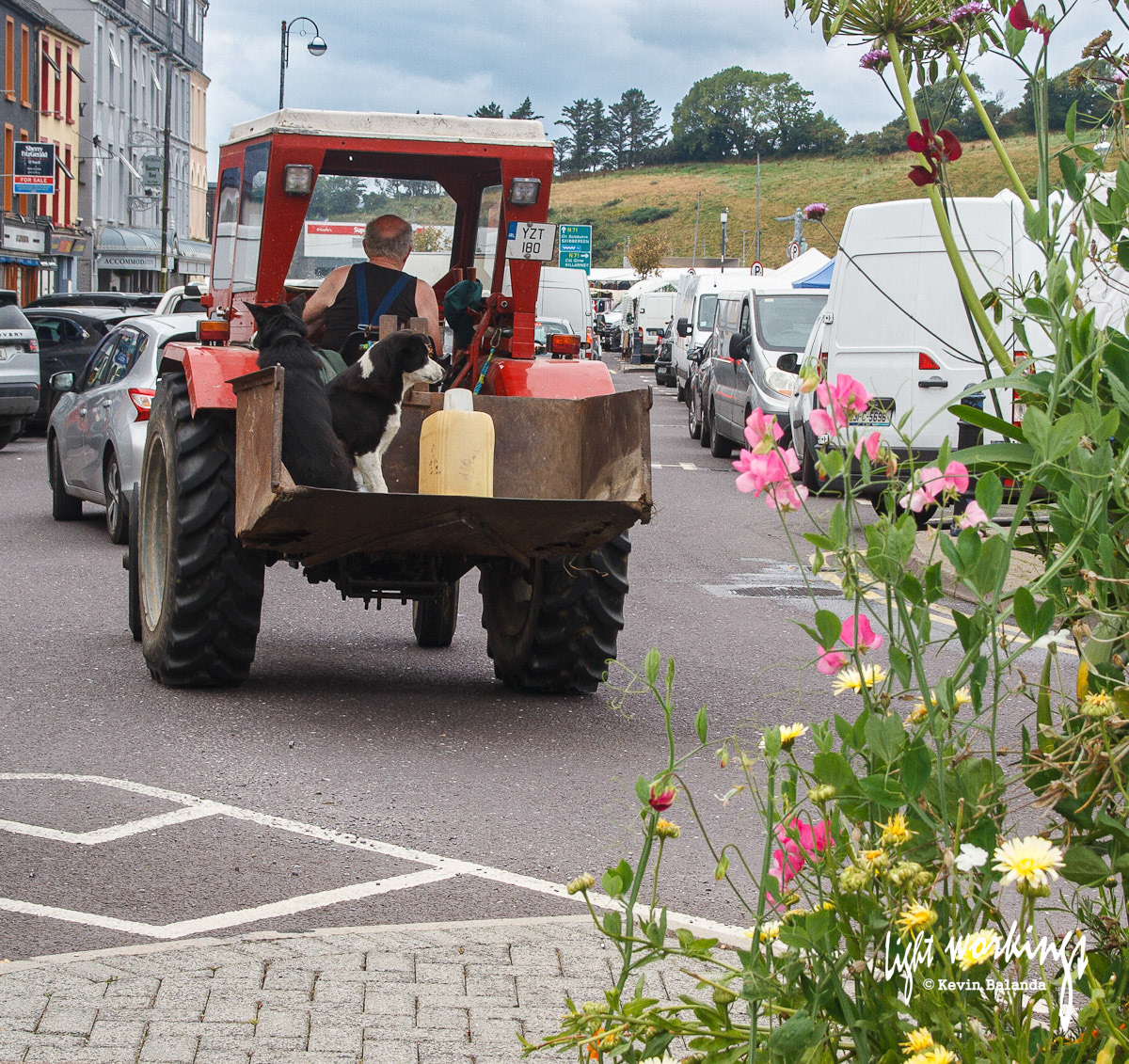Everyone helps out on market day in Bantry, West Cork