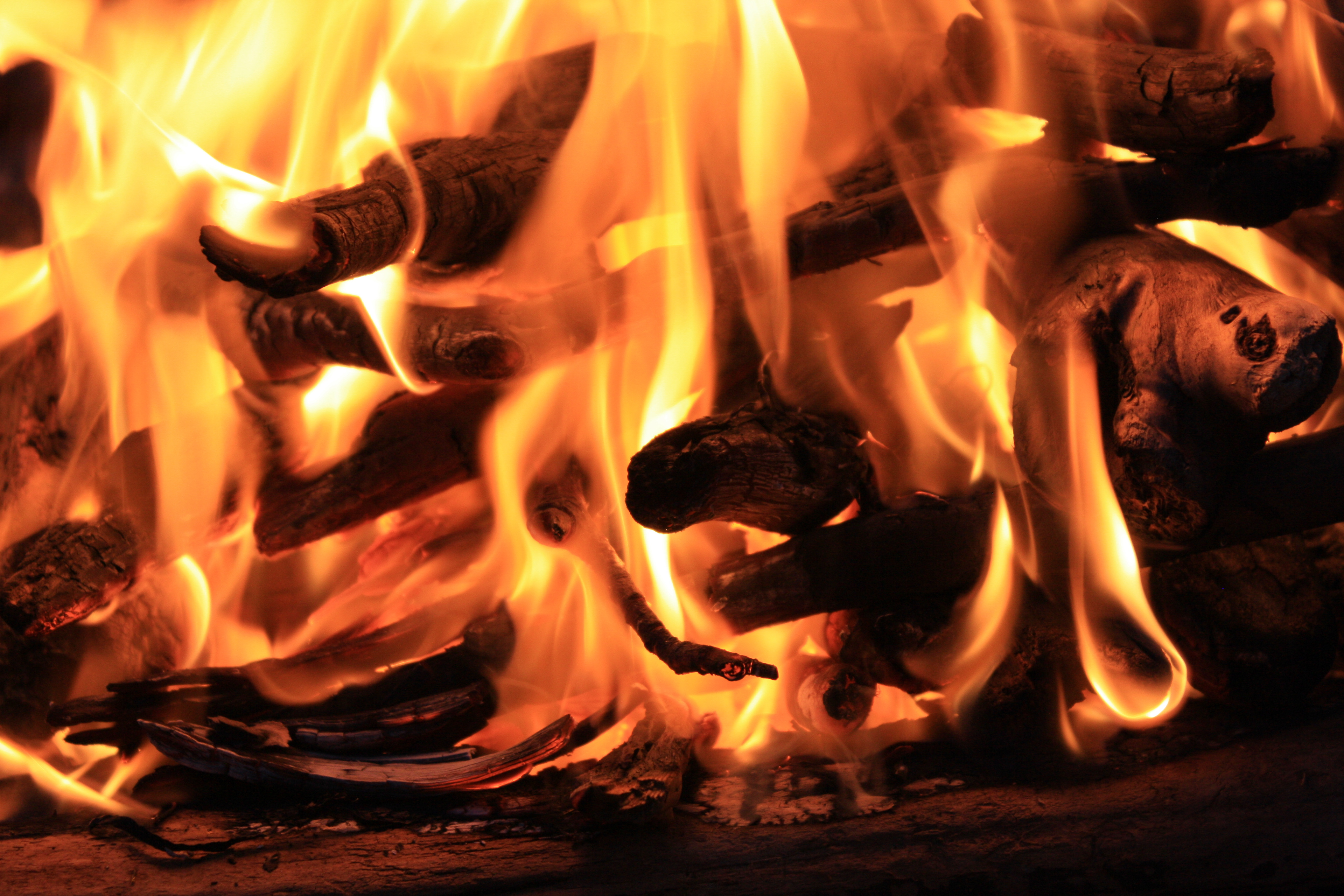 A close up of a blazing fire devouring sticks.