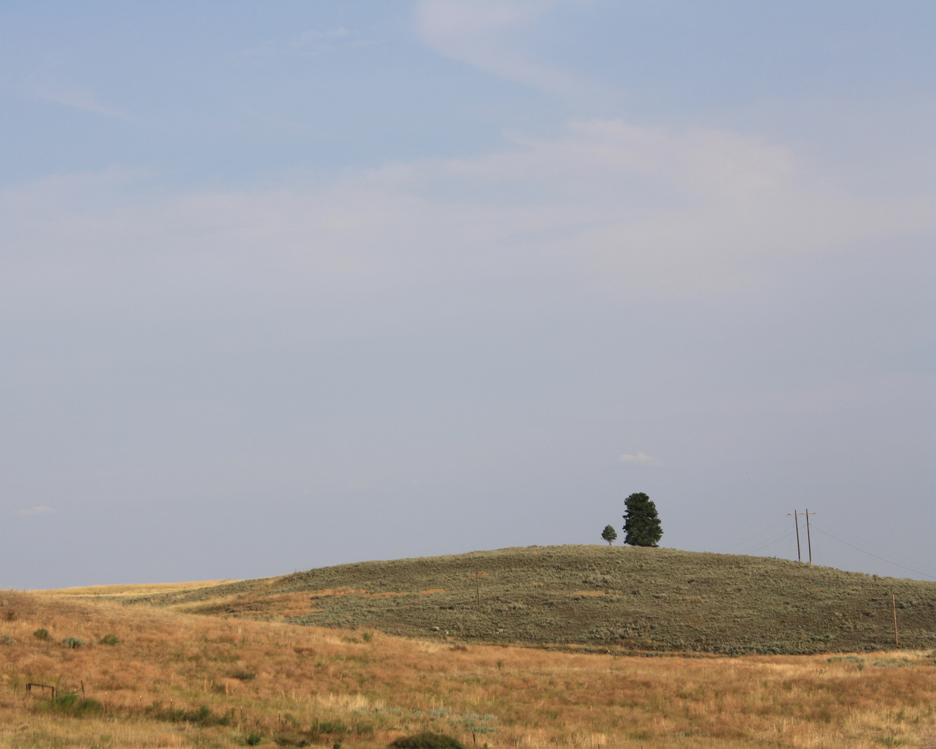 Two lone trees stand on a hill against a soaring sky.