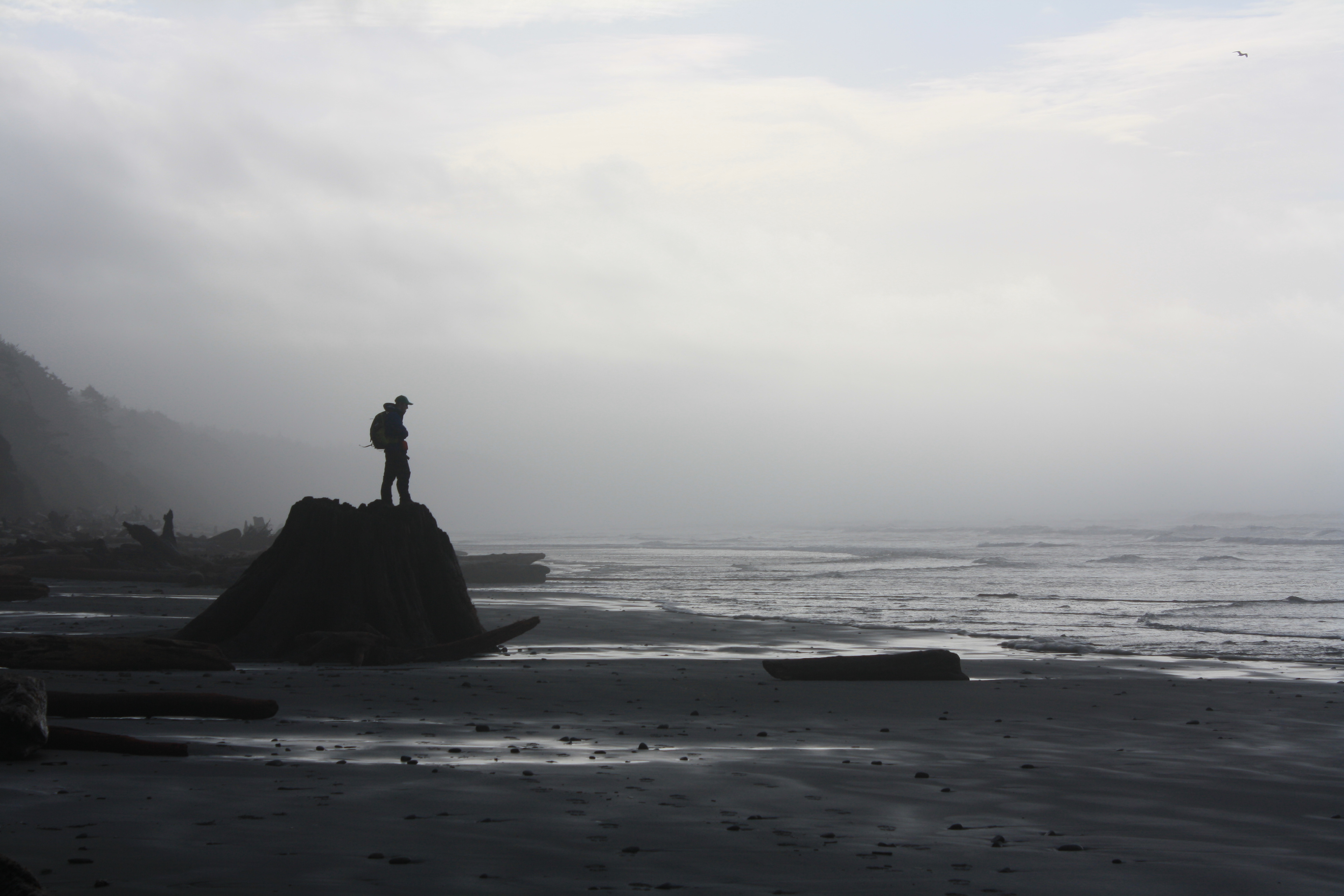A high contrast, sweeping landscape photo of a man standing on a rock by the ocean. His silhouette and that of the rocks stand out against the foggy background.
