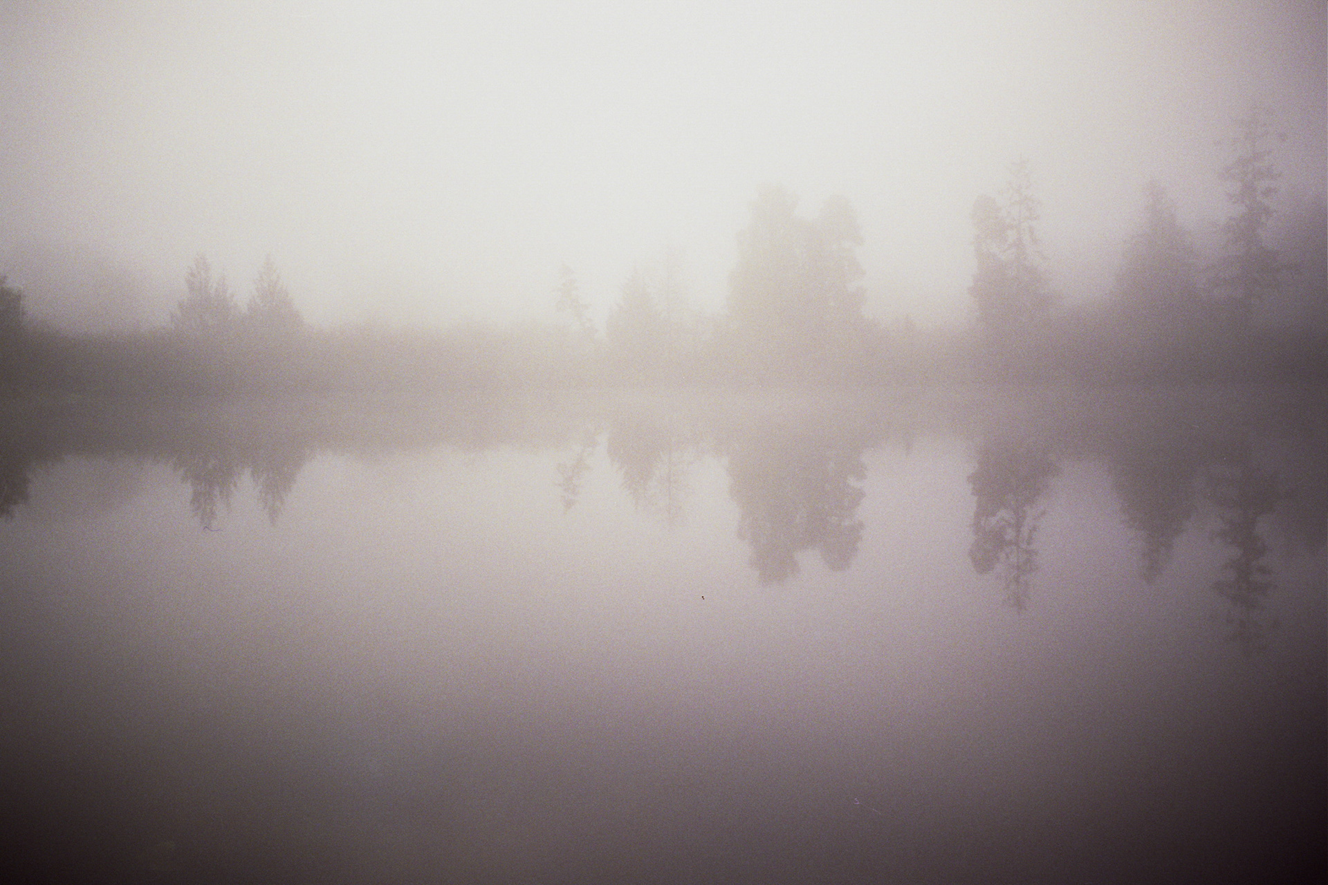 On a foggy day, trees and water are barely visible.