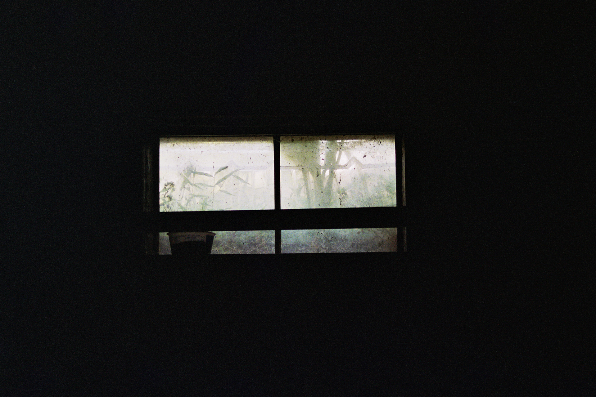 Greenery is barely visible through a cloudy window in a pitch-black basement.