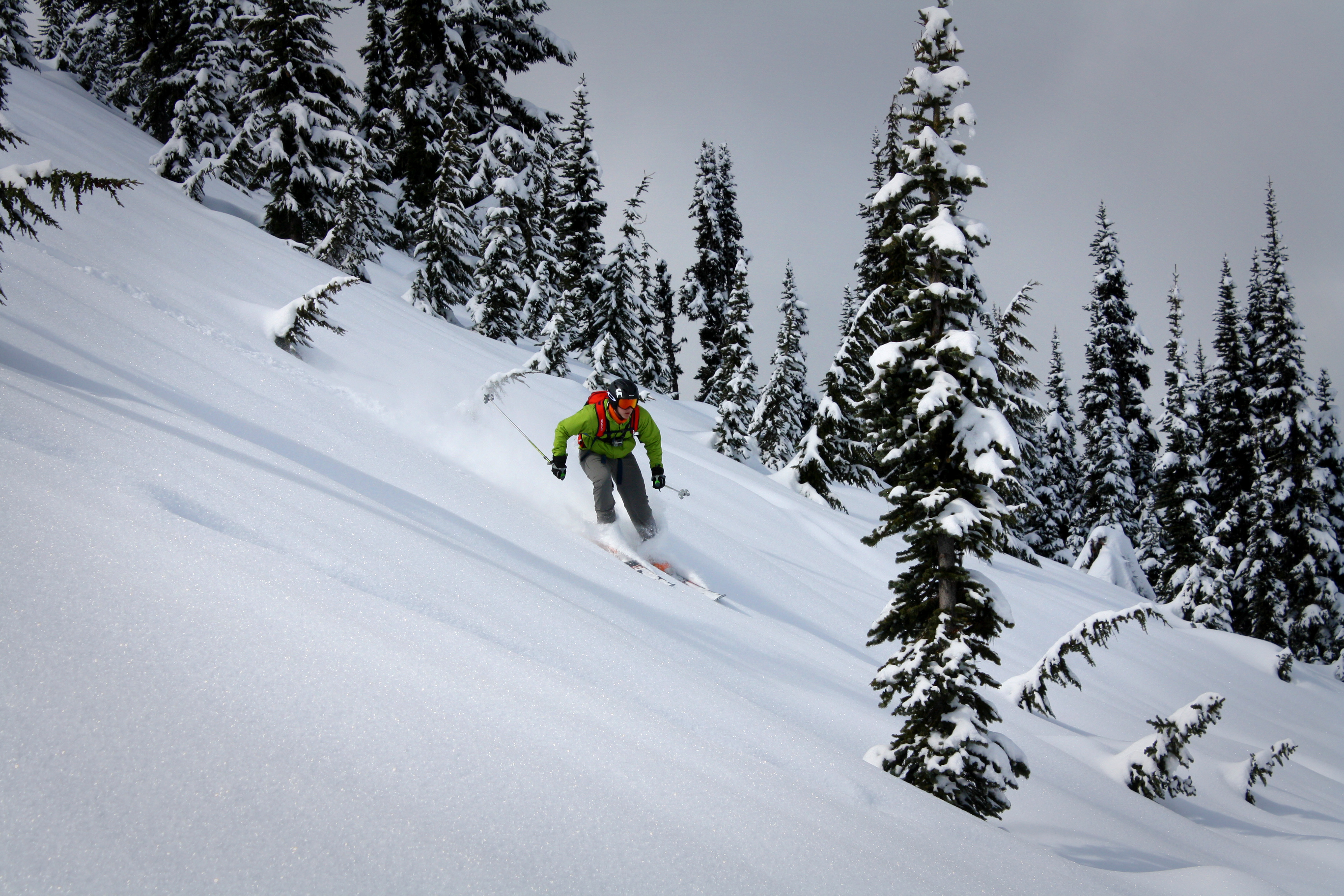 A skier traverses a slope between trees whose branches are burdened by snow.