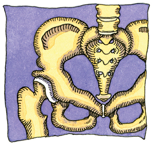 Pen & ink illustration for Radford University