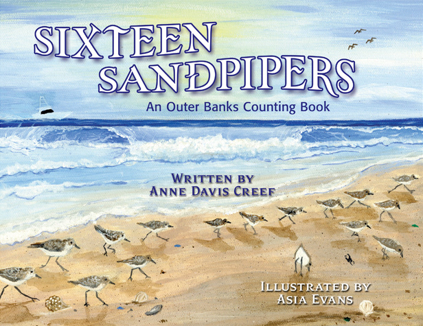 Book cover design for Sixteen Sandpipers