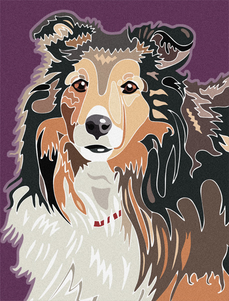 Illustration of Molly: Shetland Sheepdog