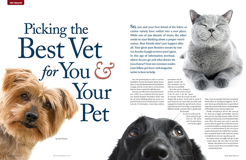 Picking the Best Vet layout  — West End's Best Magazine