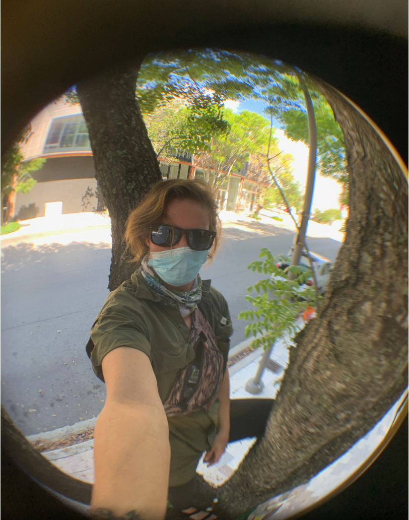 Climbing Urban Trees