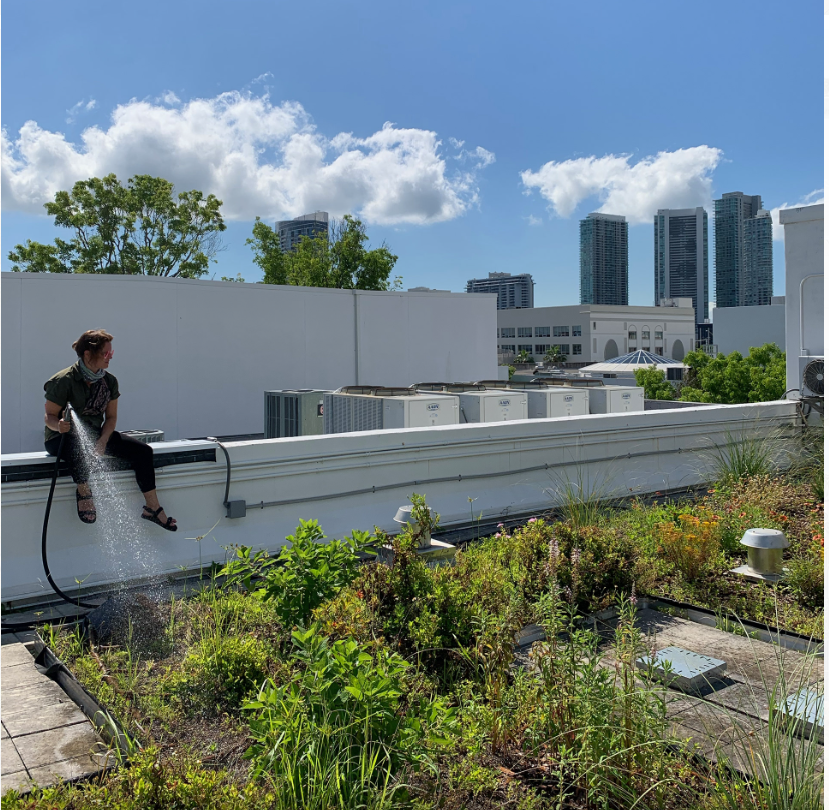 Green Roof Collab with Fairchild Botanical Gardens