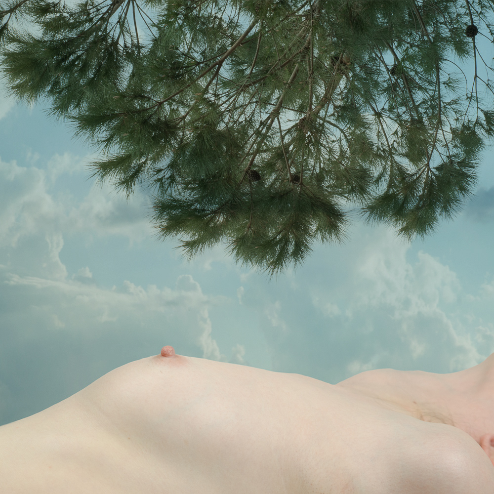 © Clotilde Petrosino all rights reserved