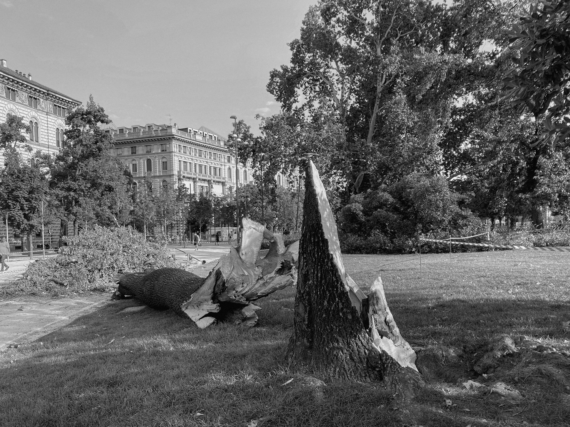 © Clotilde Petrosino all rights reserved