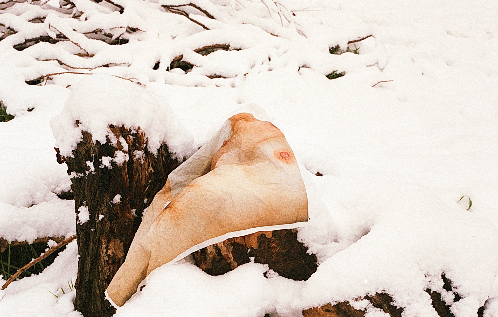 © Clotilde Petrosino