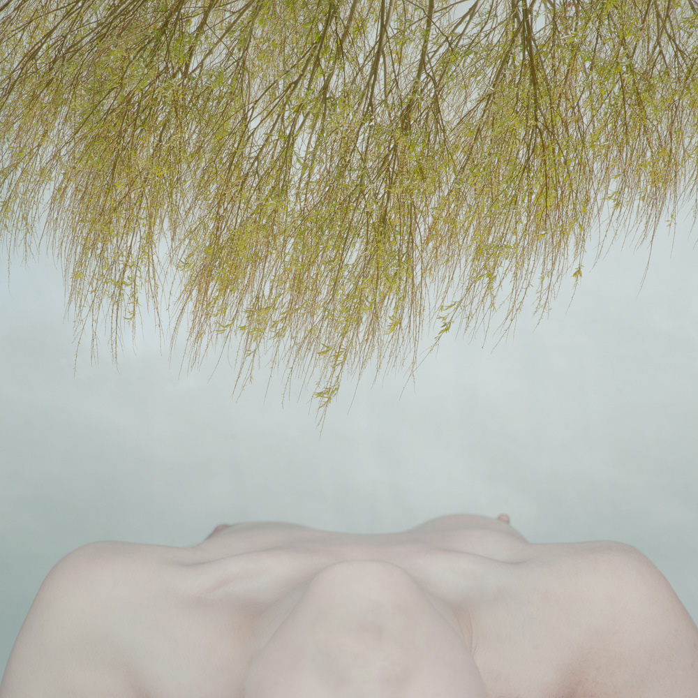 © Clotilde Petrosino all rights reserved