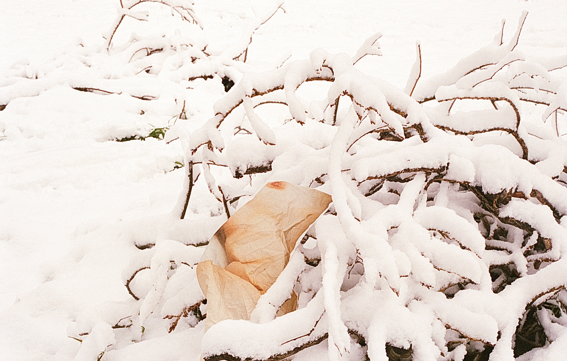 © Clotilde Petrosino