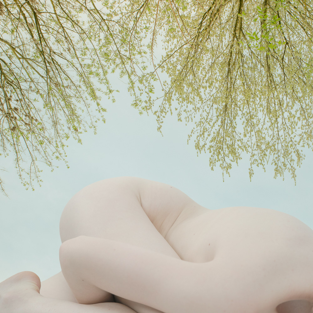 © Clotilde Petrosino all rights reserved