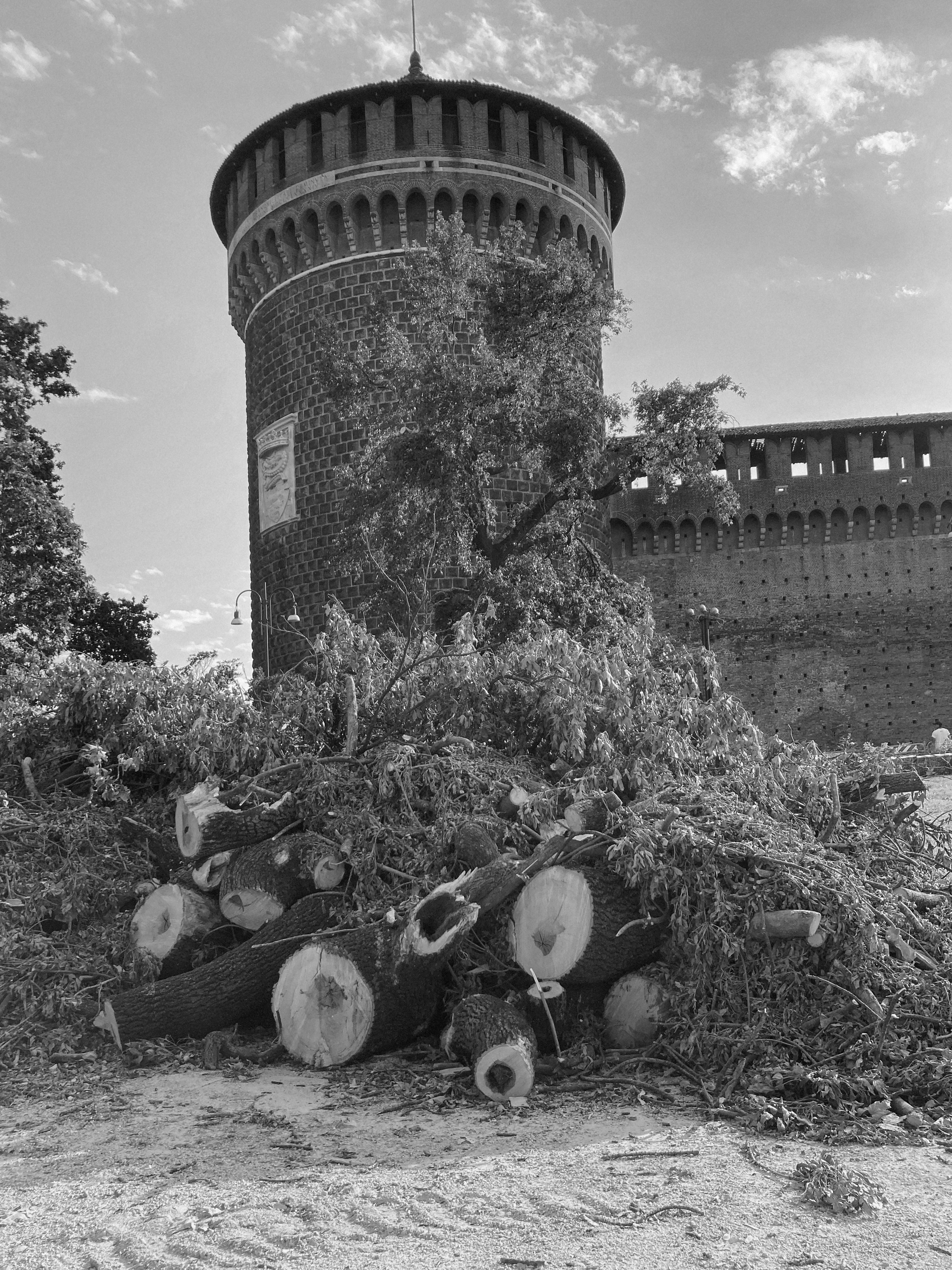 © Clotilde Petrosino all rights reserved
