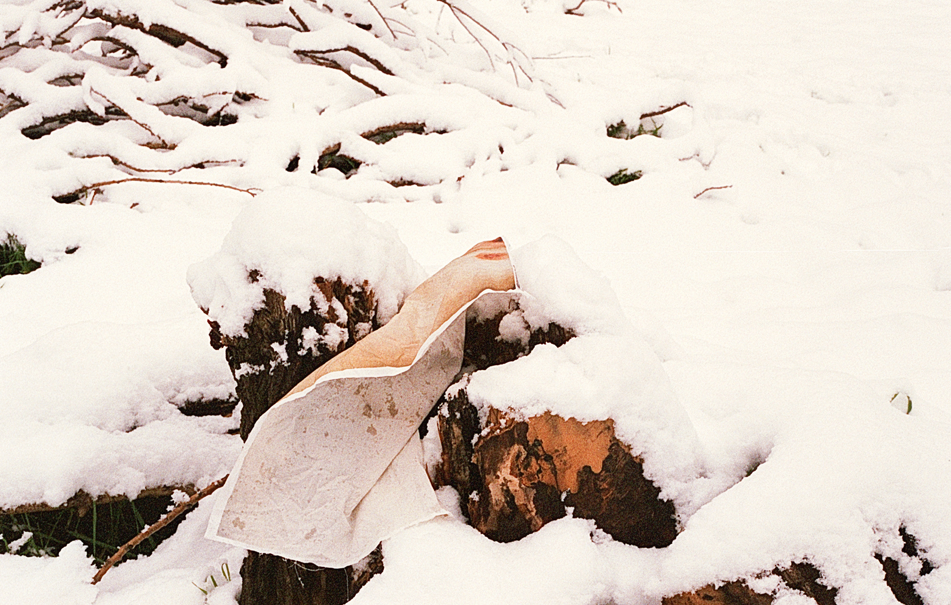 © Clotilde Petrosino