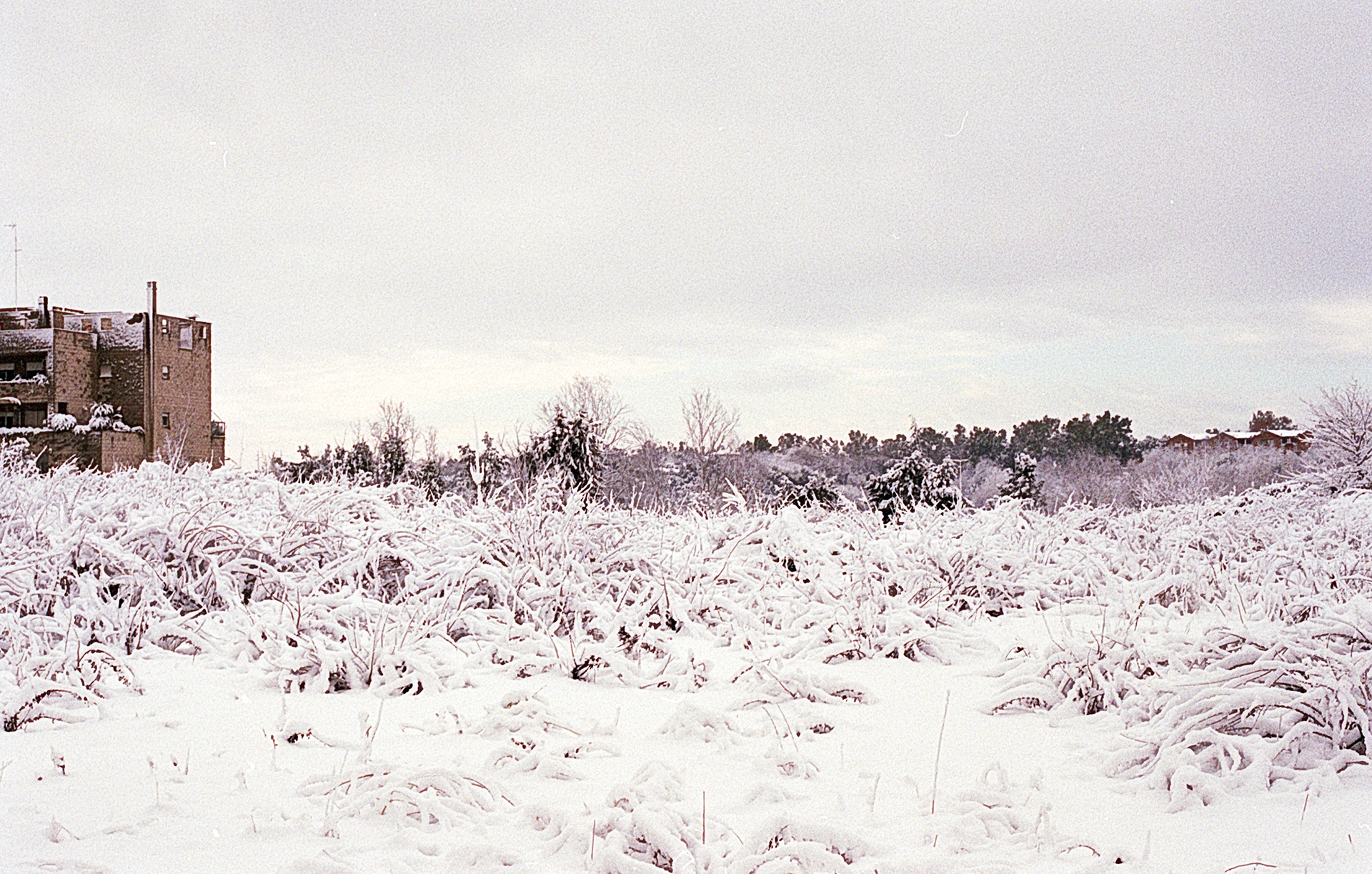 © Clotilde Petrosino