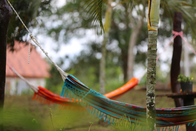 Hamacas areas sociales