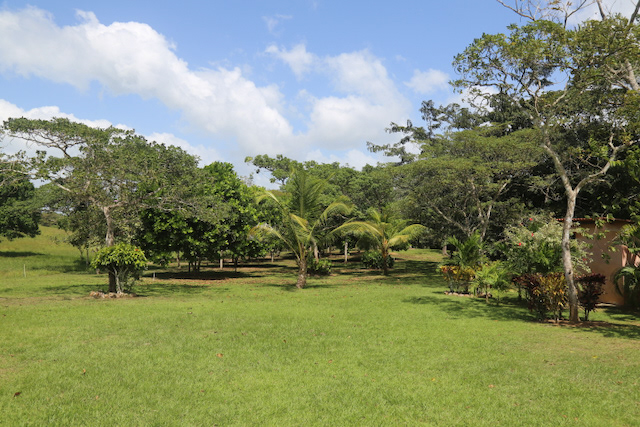 Areas sociales expansivas