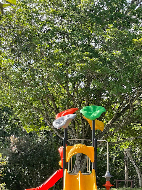 Parque Infantil