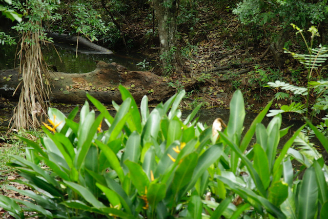 Naturaleza abundante