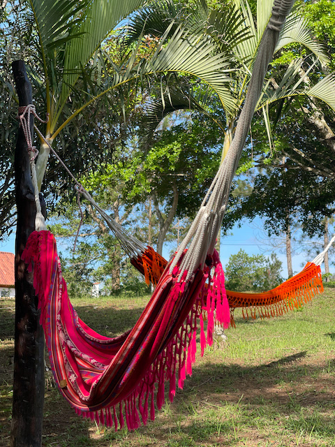 Jardin de Hamacas Fase 1