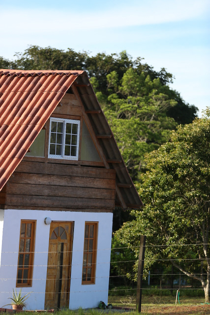 Construya a su gusto