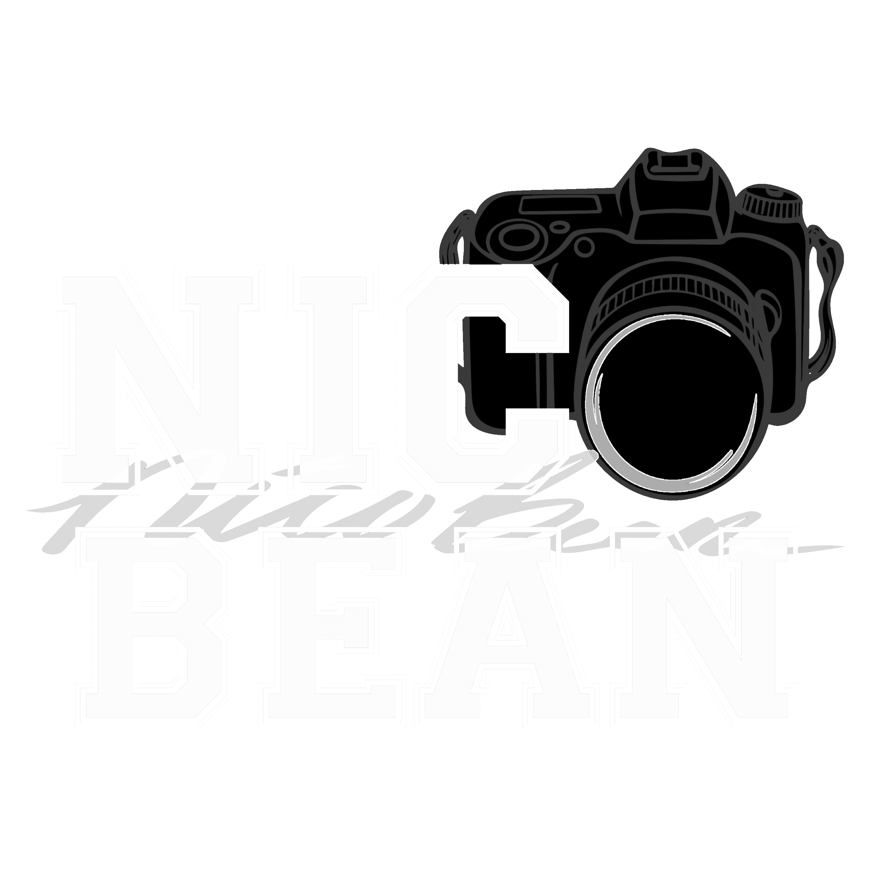 nico manfredi