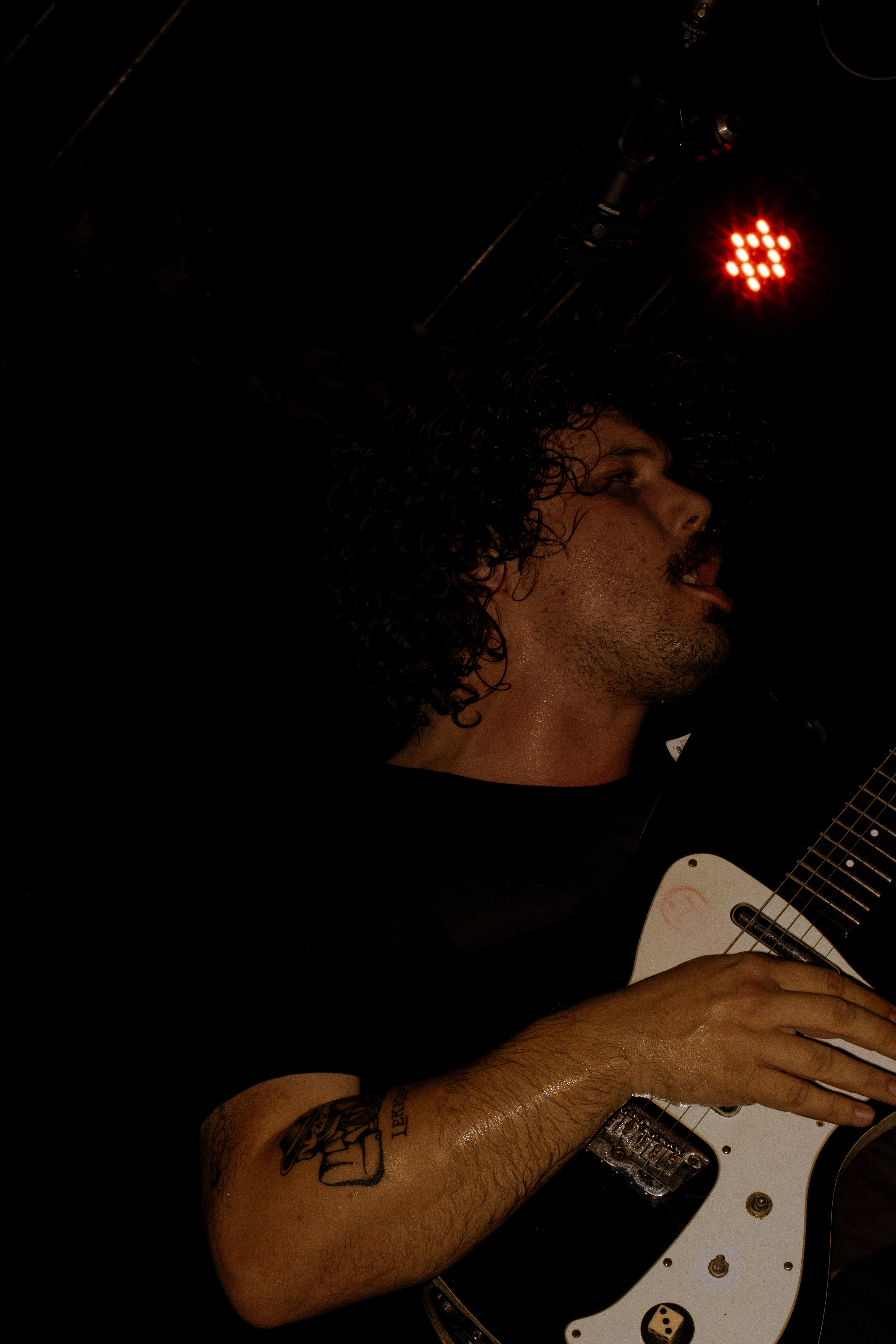 Sunflowers @ Cartaxo Sessions