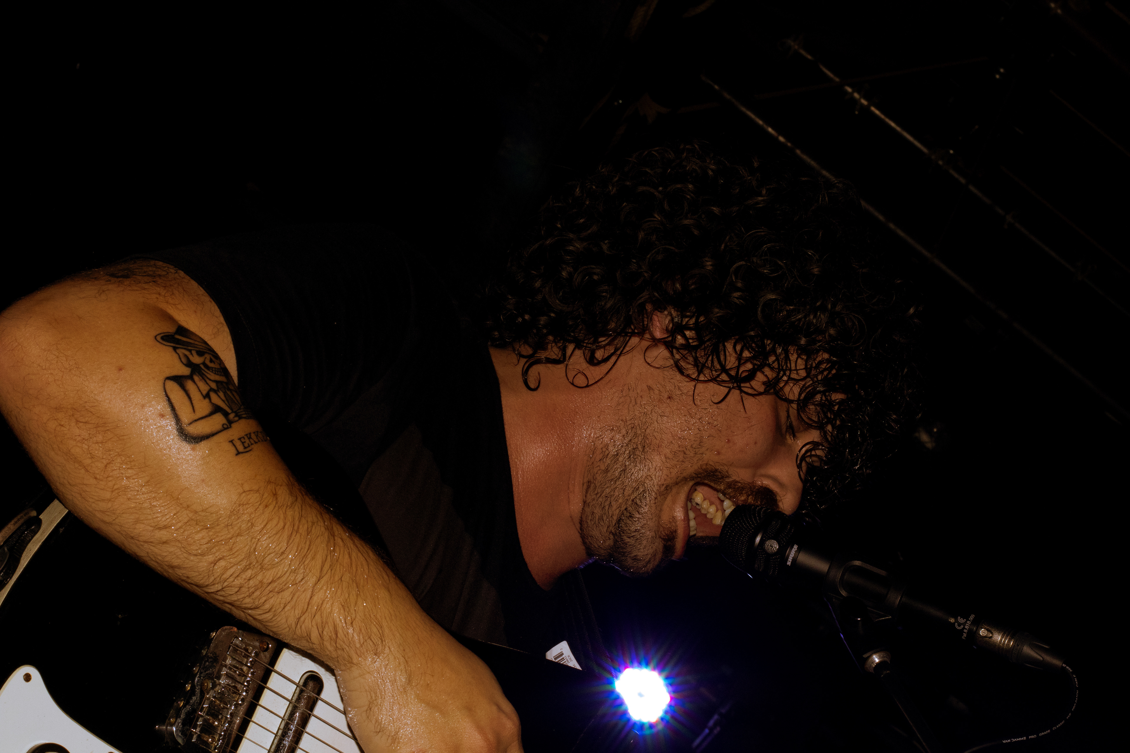 Sunflowers @ Cartaxo Sessions