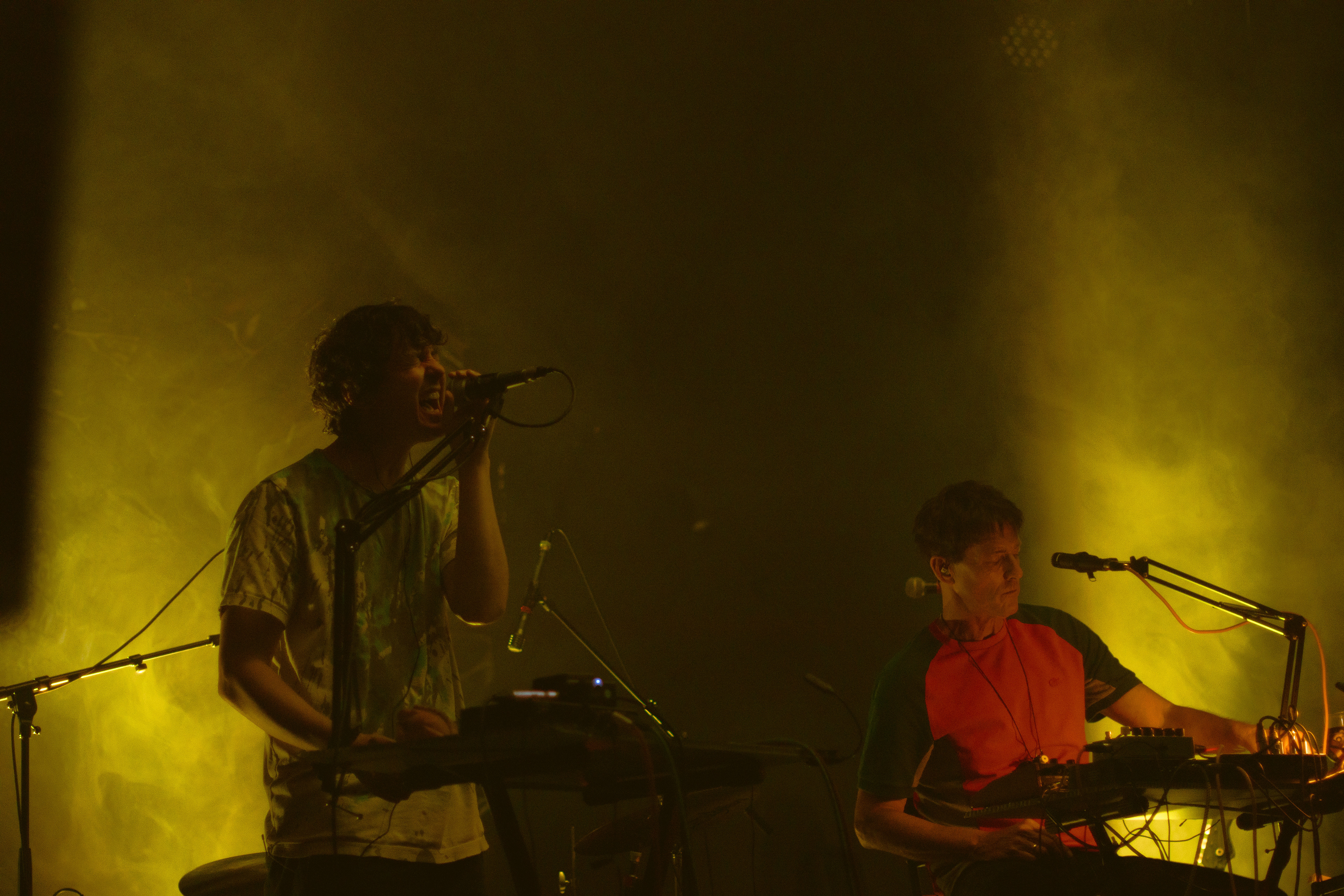 Panda Bear x Sonic Boom