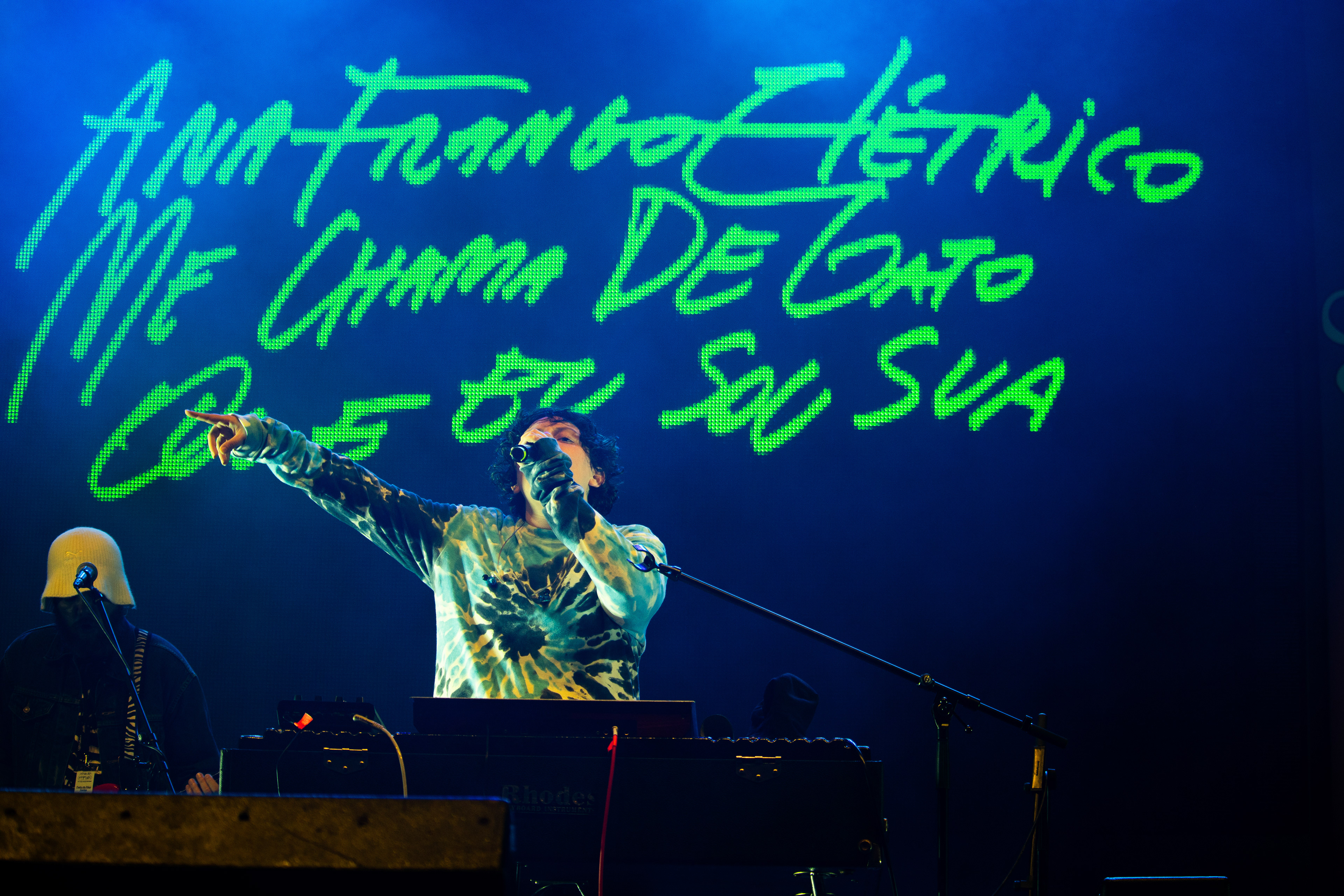 Ana Frango Elétrico