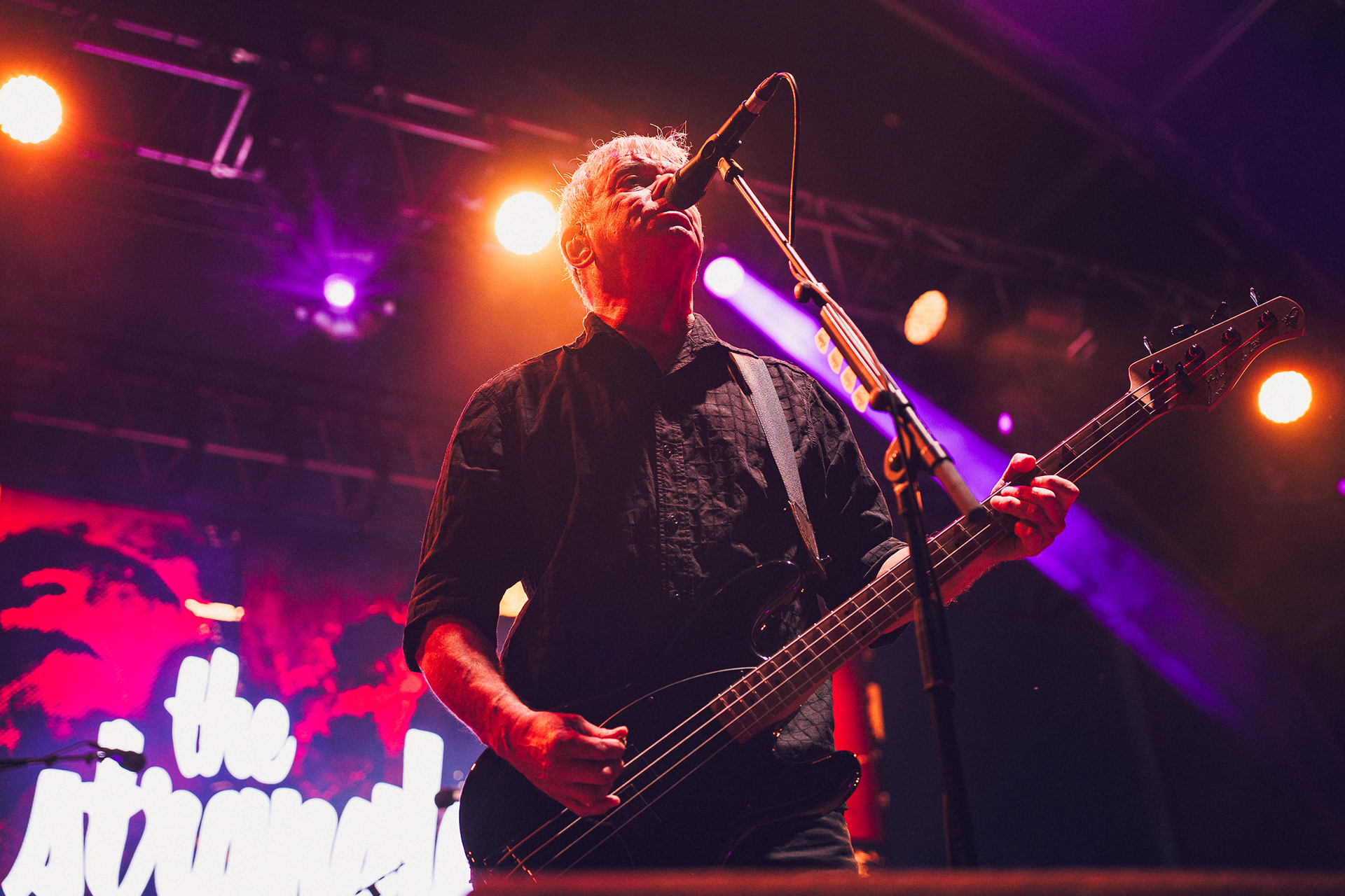 The Stranglers